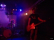 Luno, Neon Fox