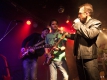 St. Patrick's Party, U2 Stay Tribute Band